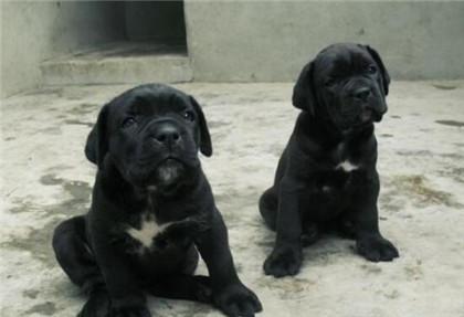 20221108193631_51094