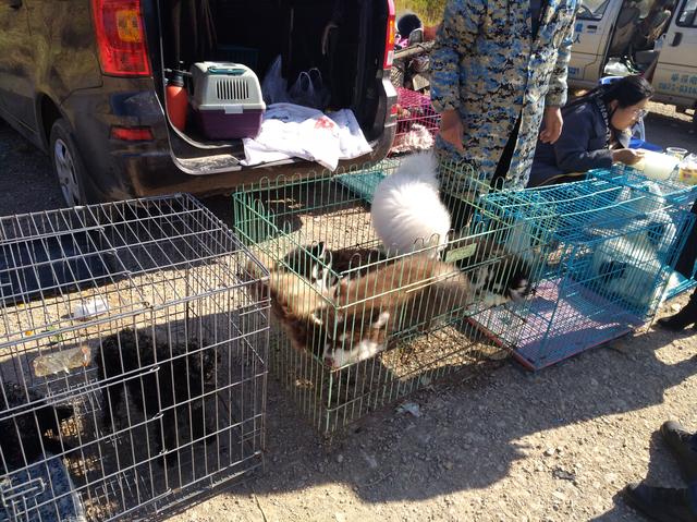 20221108195908_81928