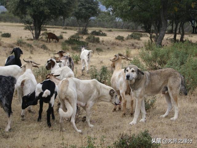 20221109101836_35558