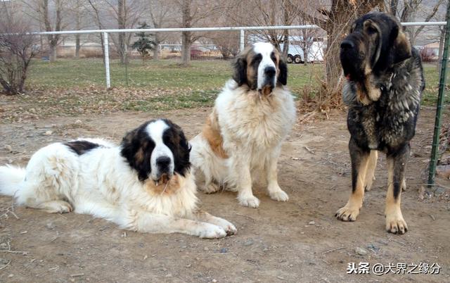 20221109101836_47652