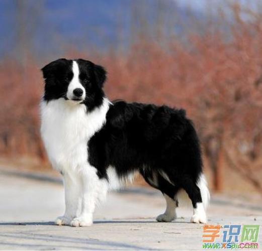 20221109110257_45984