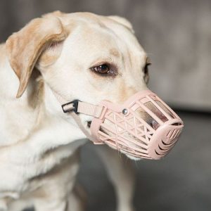 特别特别小伤口狗舔(特别特别小的伤口)-警犬训练器材厂家 _警犬训练用品_工作犬训练用品-南京开久警犬装备