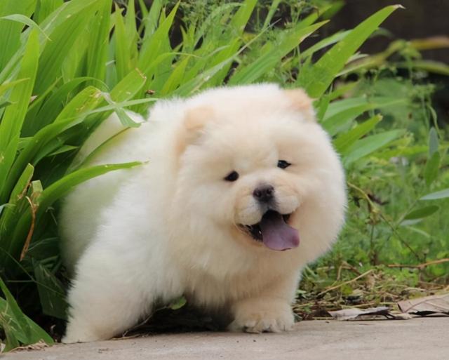 20221109142542_48717