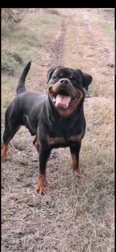 20221109152522_22943