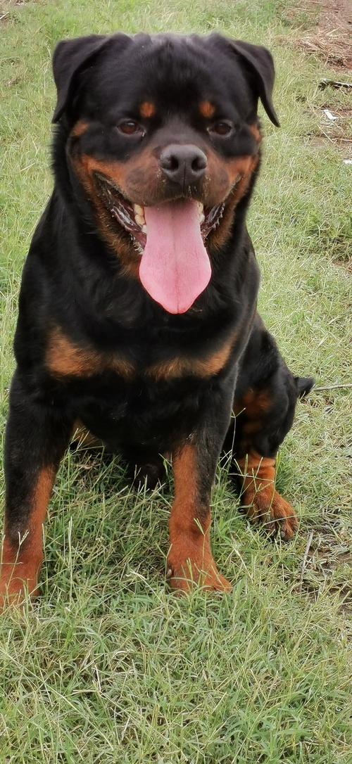 20221109152522_81266