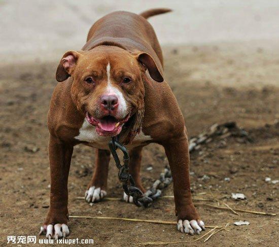 20221109153418_21890