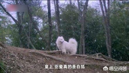 20221109155247_64027 20221109155247_64027