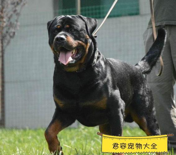 20221109203545_60925