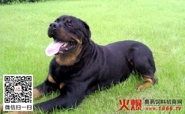 20221109203546_27714