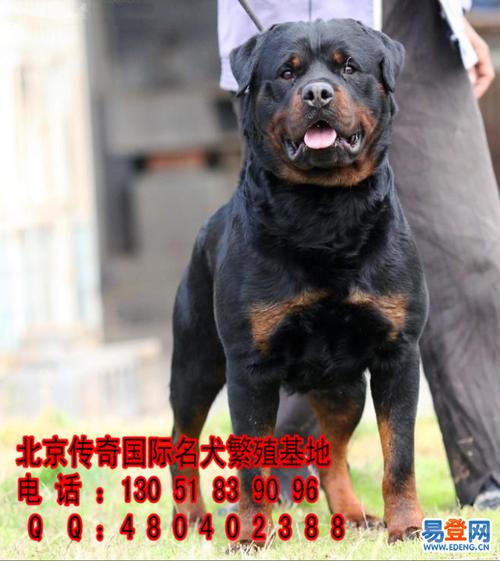 20221109203547_53470