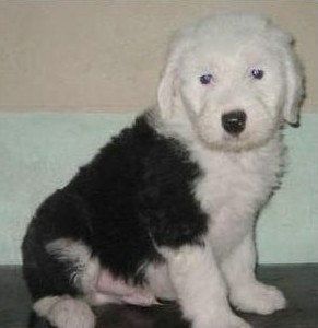 20221109205758_68141