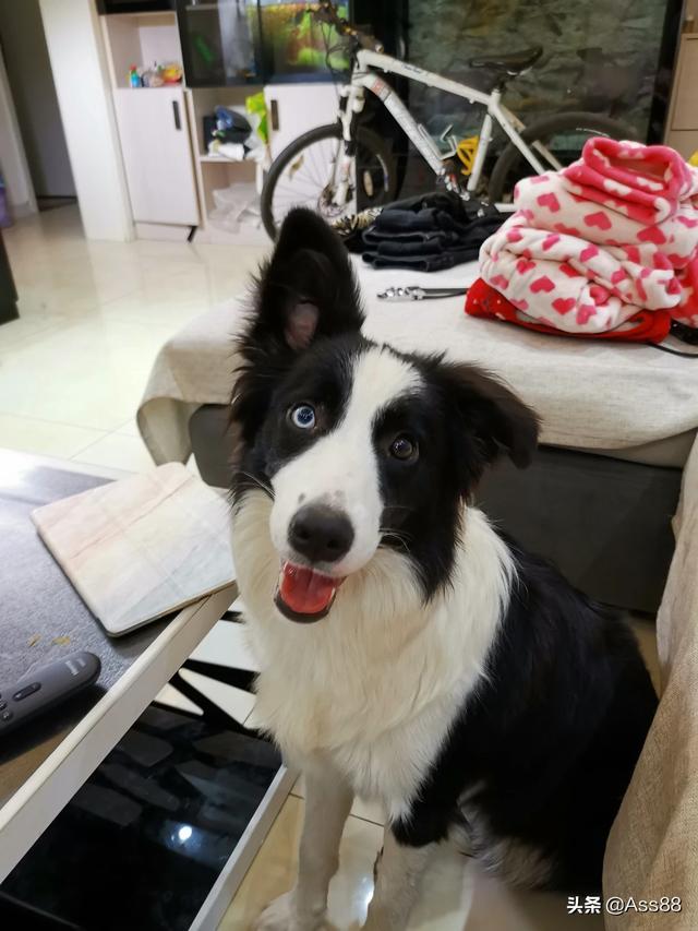 20221109230358_54095