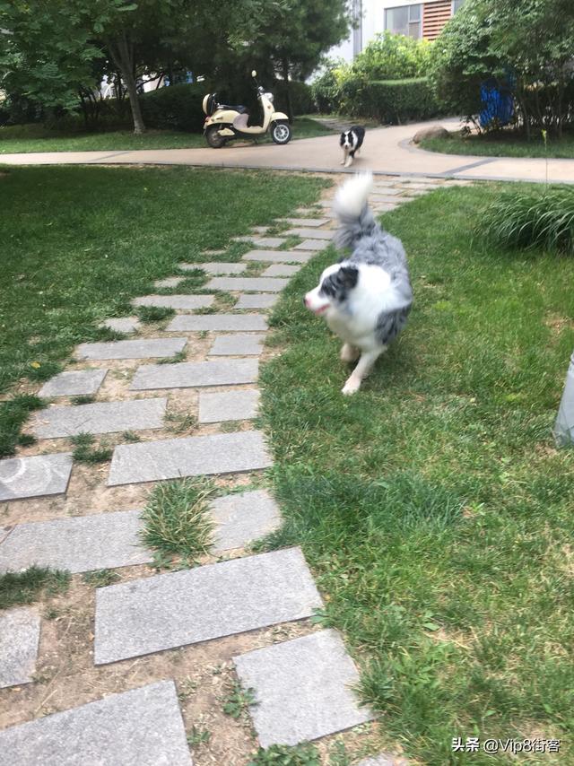 20221109230358_83003