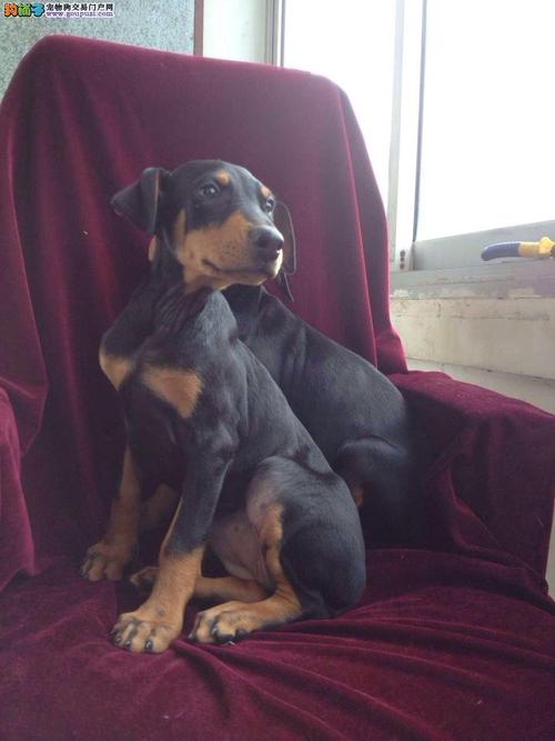 20221109232105_81298 20221109232105_81298