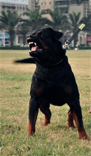 20221110000933_66457