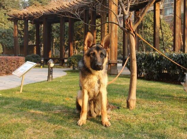 20221110000933_82546