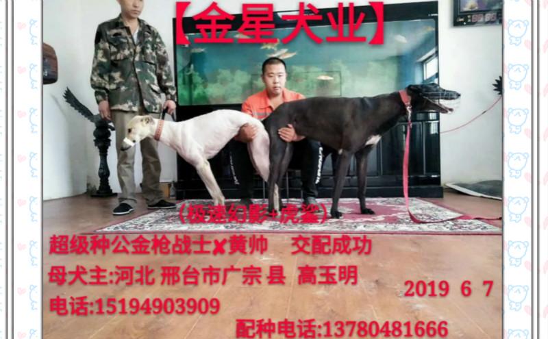 20221110013436_22403