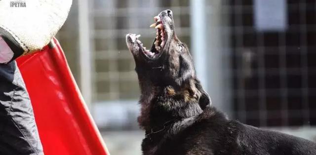 20221110084220_85189 20221110084220_85189