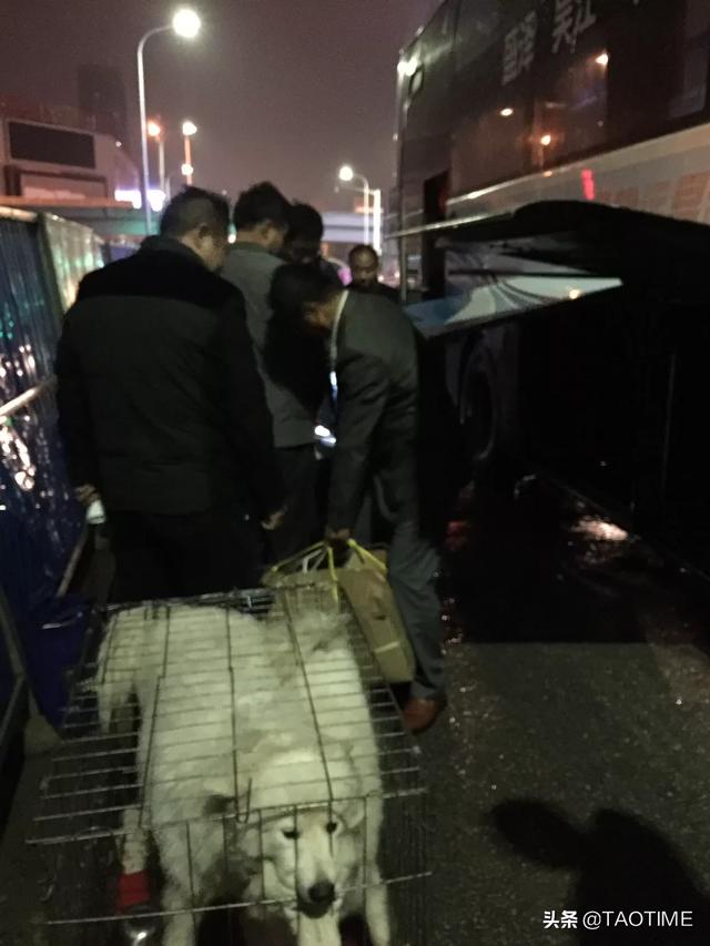 20221110090246_45959 20221110090246_45959