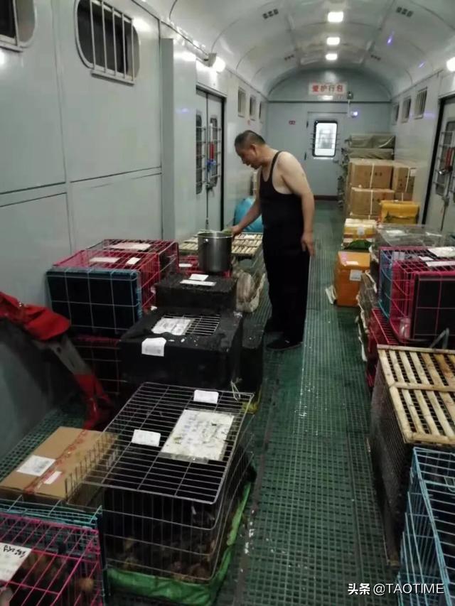 20221110090247_99101 20221110090247_99101