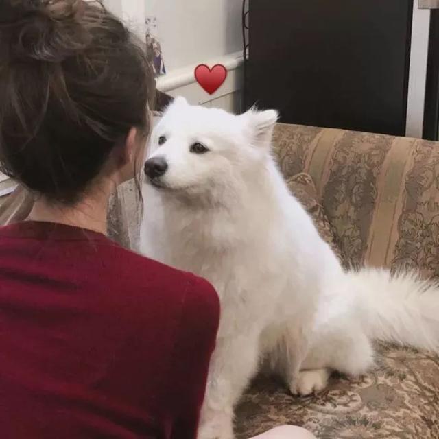 20221110105136_67240 20221110105136_67240