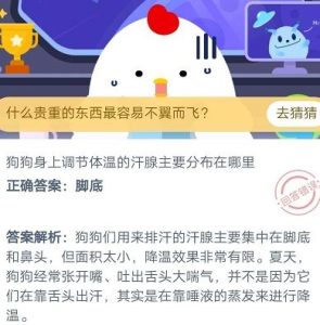 狗狗身上调节体温的汗腺在哪里-警犬训练器材厂家 _警犬训练用品_工作犬训练用品-南京开久警犬装备