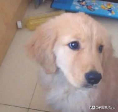 20221110183731_41907 20221110183731_41907