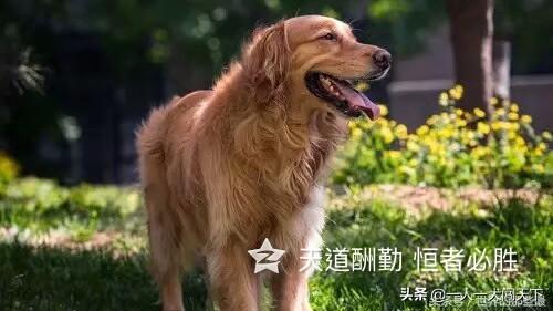 20221110184233_61116