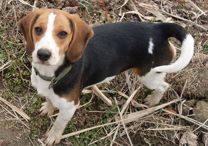 20221110184654_58177