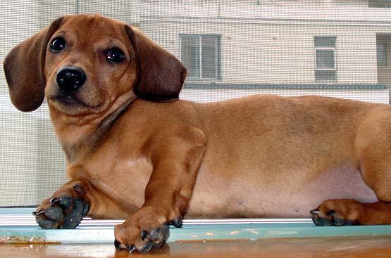 20221110184655_22818