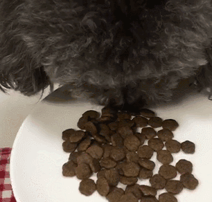 20221110211823_11854 20221110211823_11854