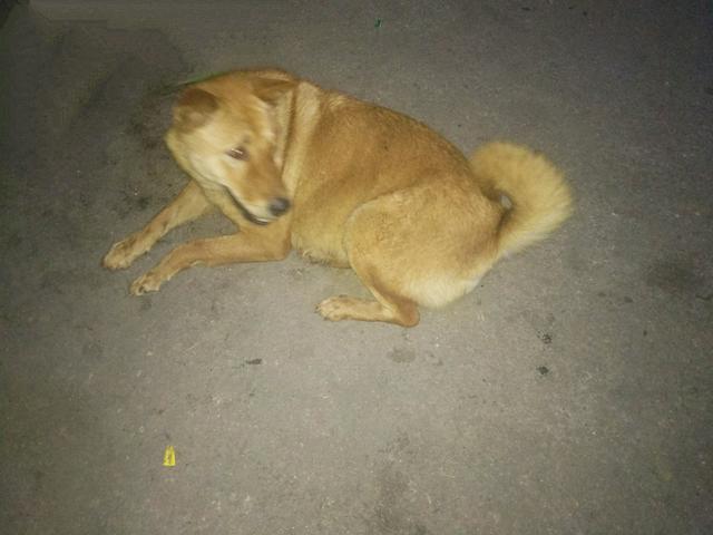 20221110215338_45894