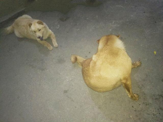 20221110215339_74858