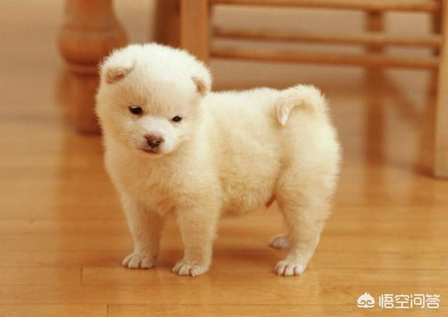 20221110215603_38146 20221110215603_38146