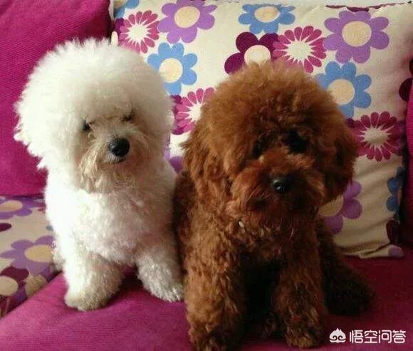 20221110215603_77473 20221110215603_77473