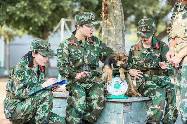 20221111085416_50809 20221111085416_50809