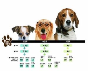 狗狗年龄换算表(猫咪年龄换算表)-警犬训练器材厂家 _警犬训练用品_工作犬训练用品-南京开久警犬装备