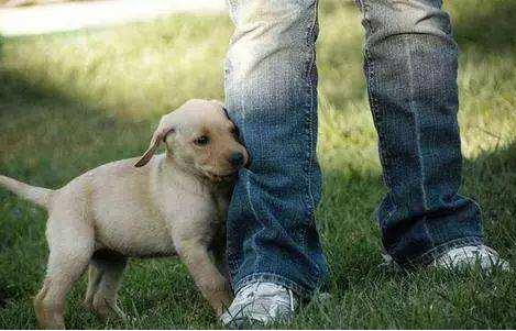 20221111111931_53663