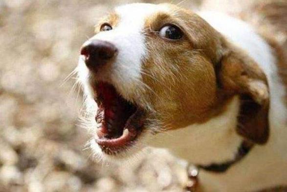 20221111111931_76879