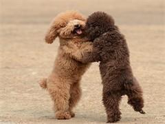 20221111112724_11577