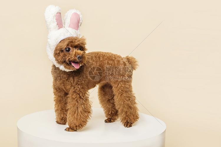 20221111112724_90531