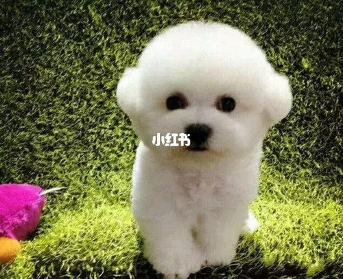 20221111122939_92406