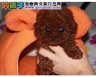 20221111141220_29867