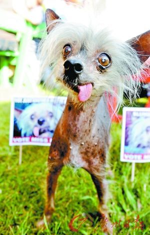 20221111185922_15759