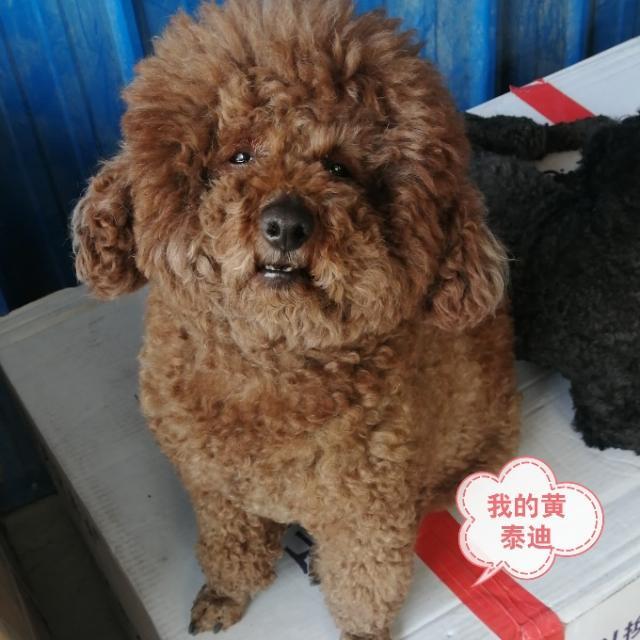 20221111191357_60189