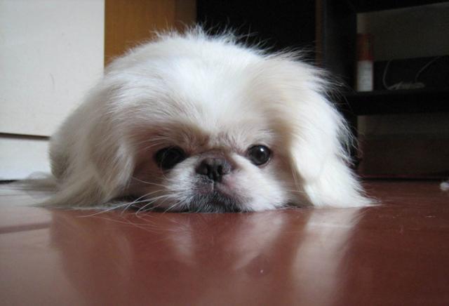 20221111203043_94219