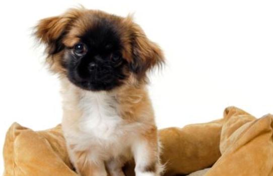 20221111203044_41324