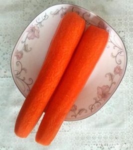 幼犬吃的红萝卜怎么做(泰迪幼犬可以吃红萝卜吗)-警犬训练器材厂家 _警犬训练用品_工作犬训练用品-南京开久警犬装备