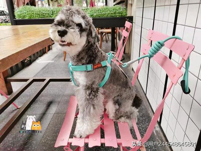 20221111211451_79690 20221111211451_79690