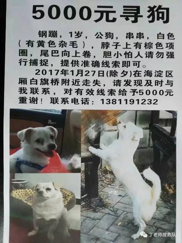 寻狗启示(寻狗启示与简短) - 警犬训练器材厂家 _警犬训练用品_工作犬训练用品-南京开久警犬装备-警犬训练器材厂家 _警犬训练用品_工作犬训练用品-南京开久警犬装备